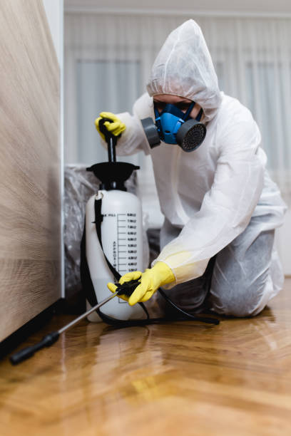 Best Commercial Pest Control  in Dorr, MI